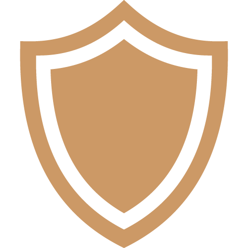 icon of a shield